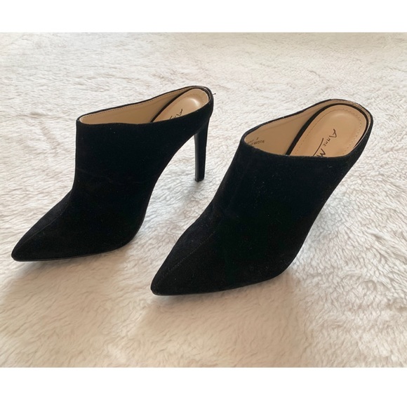 Anne Michelle Shoes - NWOT Anne michelle ankle boots